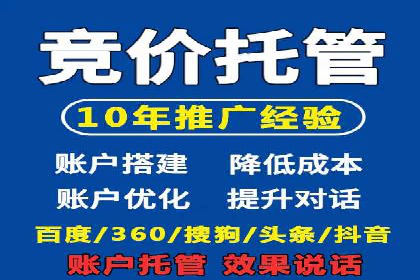 某企业通过SEO和SEM双管齐下实现业绩飞跃的案例